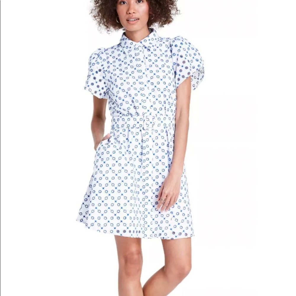 Alexis White and Blue Patterned Dress